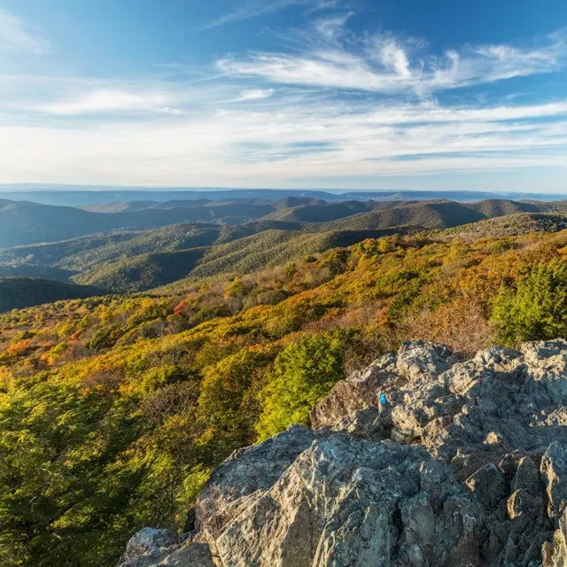 Hiking trail through Shenandoah National Park