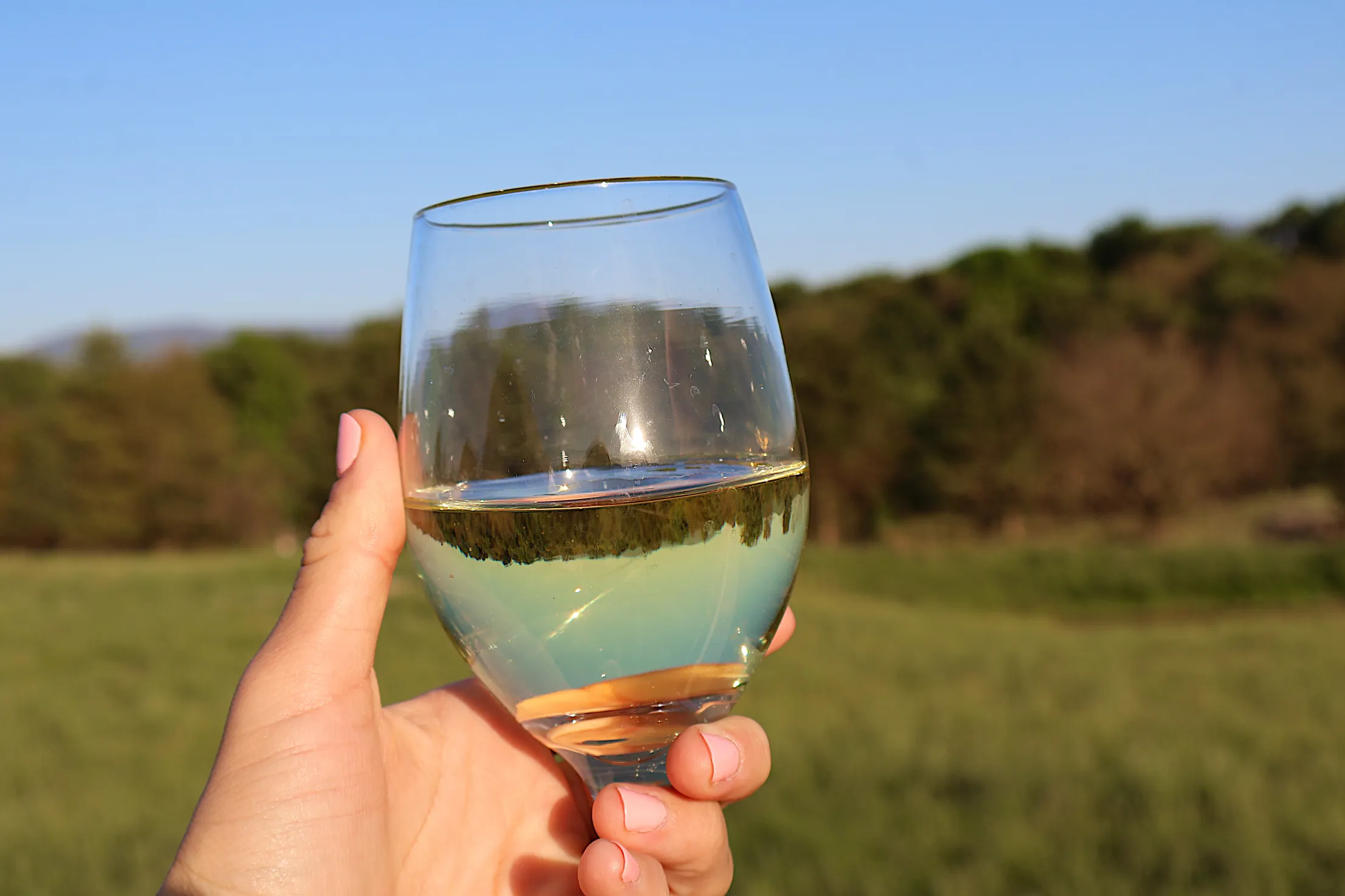 Virginia vineyard with mountain views