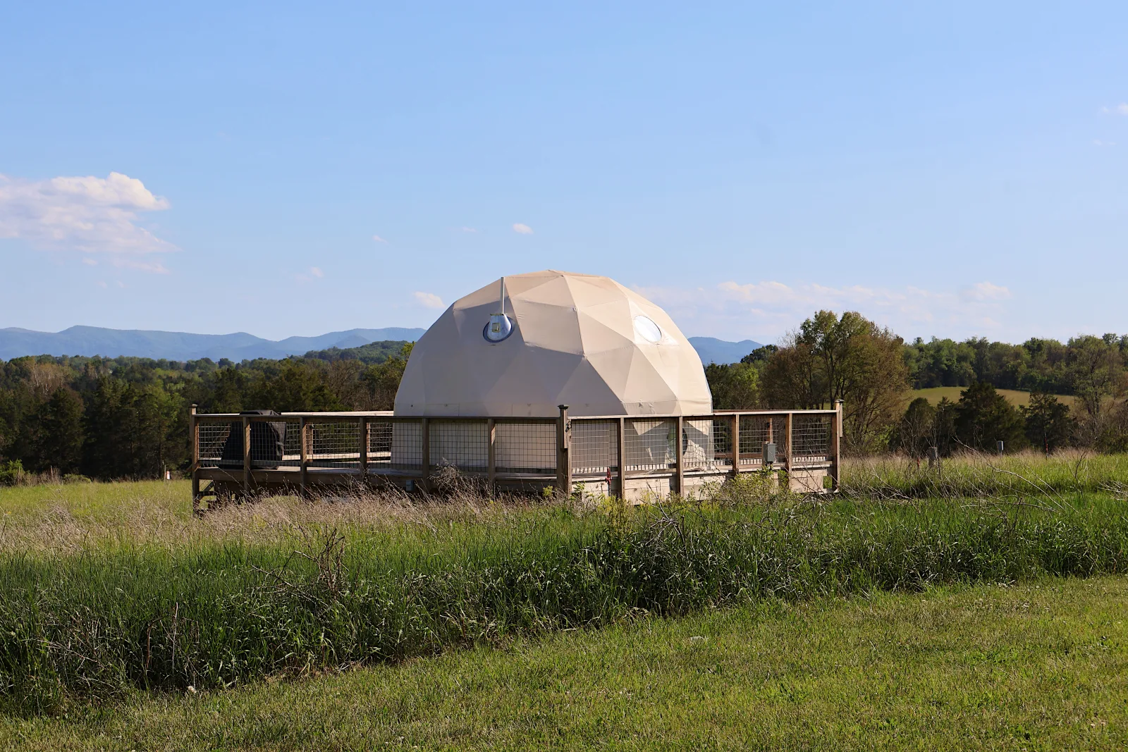 Geodesic dome exterior framed by summer trees